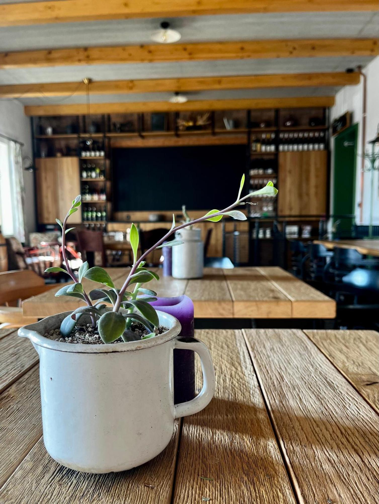 Penzion A Bistro Stary Kopec Znojmo Buitenkant foto